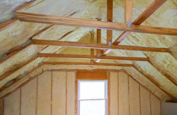 Best Insulation Repair Services  in Walnut Cove, NC