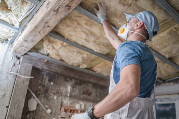 Best Attic Insulation Installation  in Walnut Cove, NC