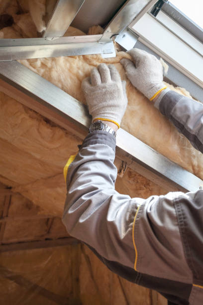 Best Insulation Replacement Services  in Walnut Cove, NC