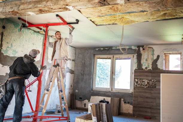 Best Insulation Contractor Near Me  in Walnut Cove, NC