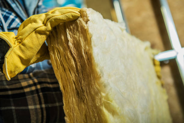 Best Energy-efficient Insulation  in Walnut Cove, NC