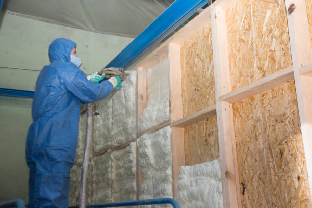 Best Best Insulation Companies  in Walnut Cove, NC