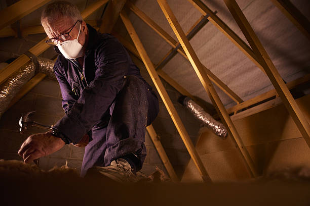 Best Attic Insulation Installation  in Walnut Cove, NC